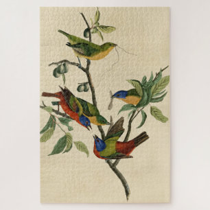 Malerische Finch (Jagd) Audubons Vögel von Amerika Puzzle