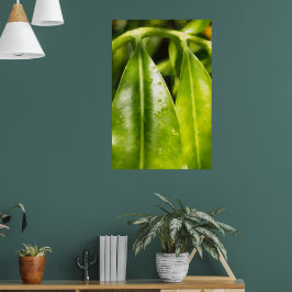 Malerische Grünblätterposter Poster