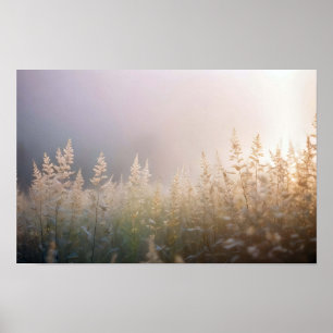 Malerische Landschaft Natur Nah-up Hintergrund Poster