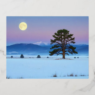 Malerische Landschaft Wintermond Natur Ruhe Folien Feiertagspostkarte