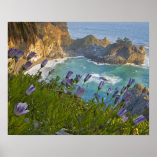 Malerische McWay Falls stürzt auf den Strand und Poster