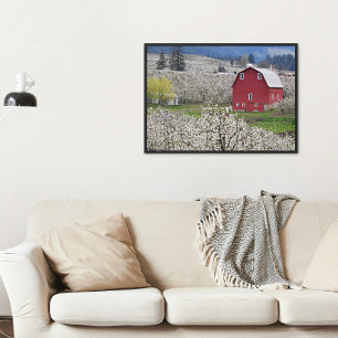 Malerische rote Scheune und Birnenblüten Fotodruck