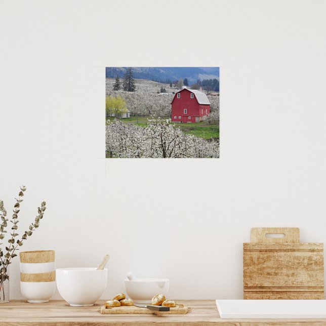 Malerische rote Scheune und Birnenblüten Poster (Küche)