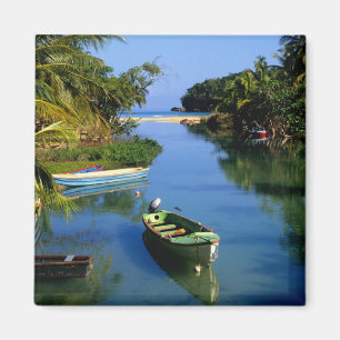 Malerischer Fluss nahe Ocho Rios in Jamaika Magnet