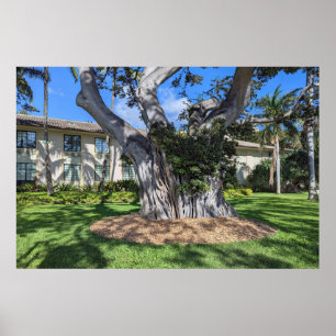 Malerisches Baumposter Poster