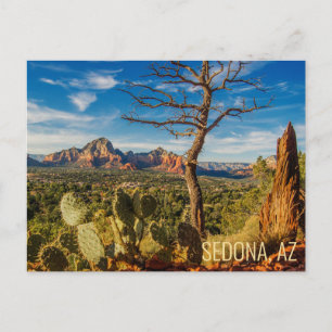 Malerisches Sedona Arizona Wüstenpostkarte mit Kak Postkarte