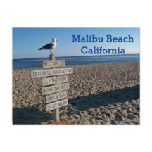 Malibu Beach Postcard - Paradise Cove Seagull Zeic