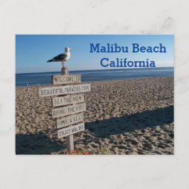 Malibu Beach Postcard - Paradise Cove Seagull Zeic Postkarte