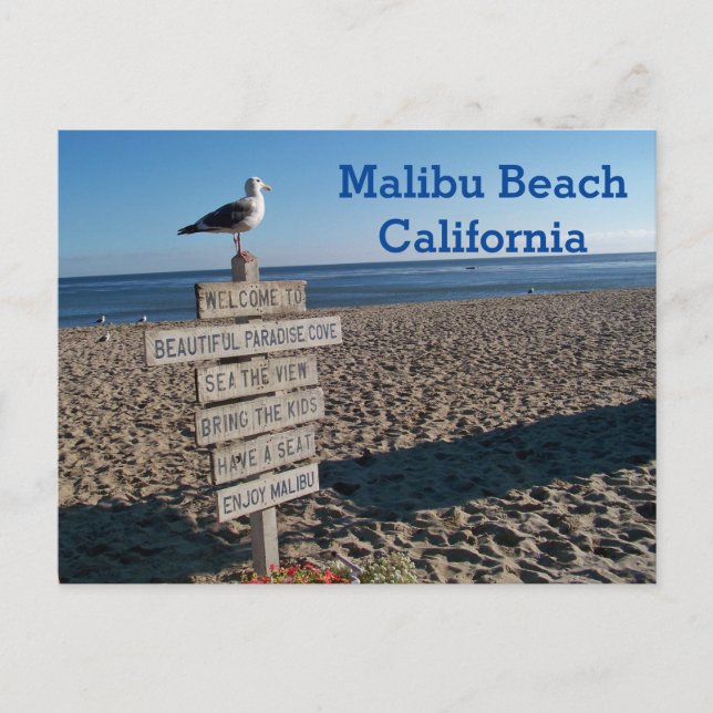 Malibu Beach Postcard - Paradise Cove Seagull Zeic Postkarte (Vorderseite)