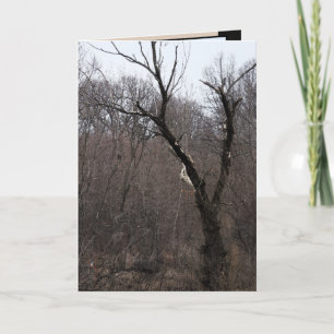 Malificent Baum Karte