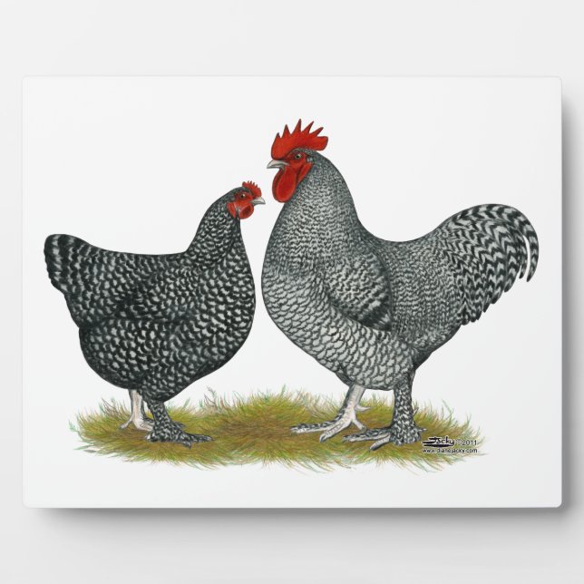 Maline Chickens Fotoplatte (Vorderseite)