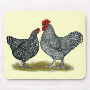 Maline Chickens Mousepad