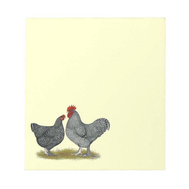 Maline Chickens Notizblock (Vorderseite)