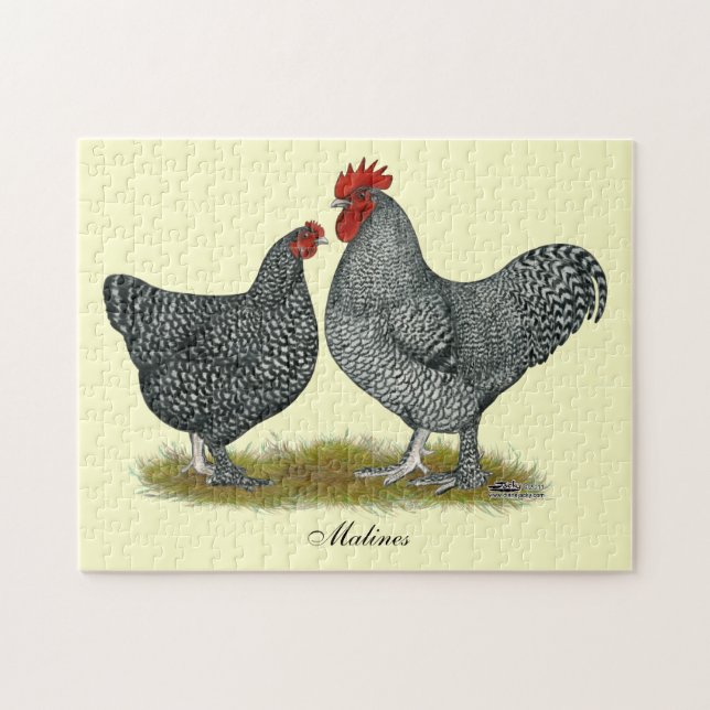 Maline Chickens Puzzle (Horizontal)