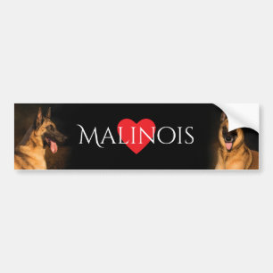 Malinois Autoaufkleber