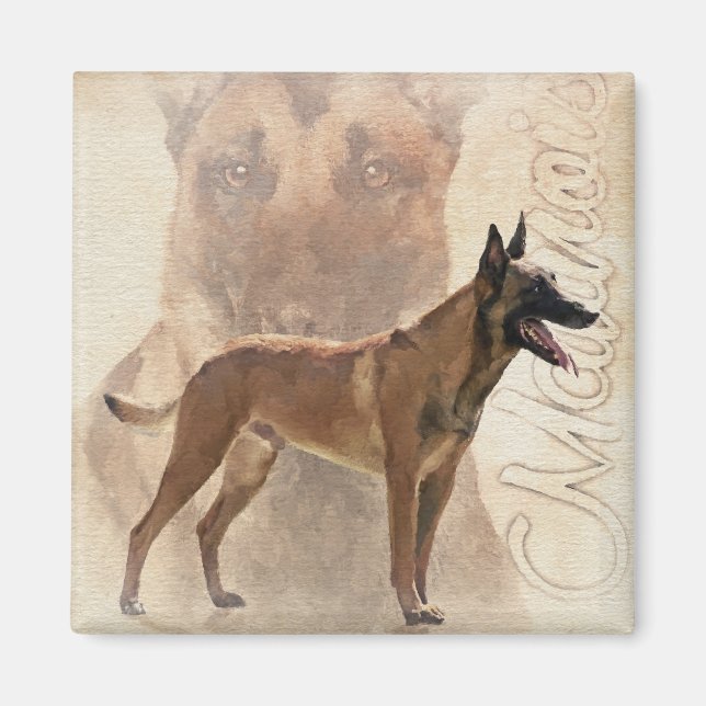 Malinois - belgischer Hirte - Mechelaar Magnet (Vorne)
