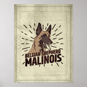 Malinois - Belgischer Hirte - Mechelaar - Maligato Poster