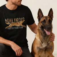 Malinois — Belgischer Hirte — Mechelaar