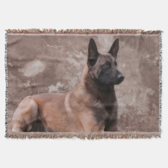 Malinois belgischer Schäfer - Mechelaar Decke (Vorderseite)