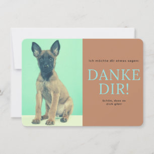 Malinois   dankeskarte