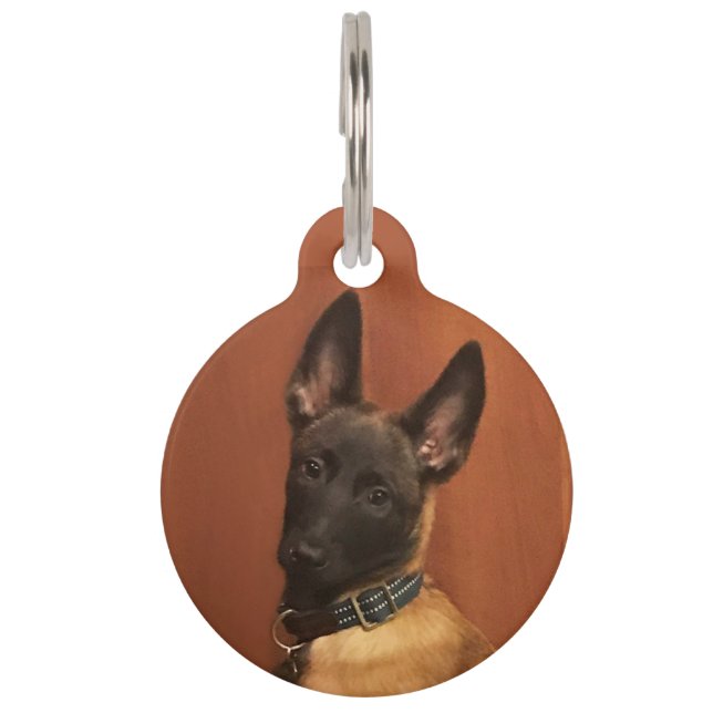 Malinois Dog Haustiermarke (Vorderseite)