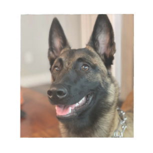 Malinois Dog Notizblock