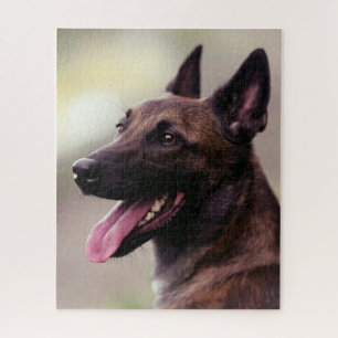Malinois Puzzle
