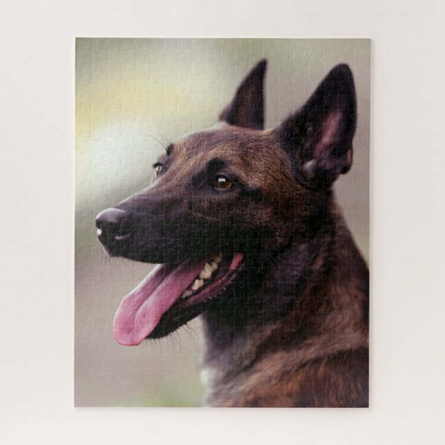 Malinois Puzzle (Vertikal)
