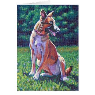 Malinois Shepherd auf Grassy Field