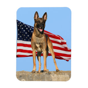 Malinois und der Flagge flexibler Magnet