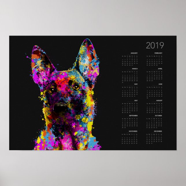 Malinois Welpe - belgischer Hirte — Kalender 2019 Poster (Vorne)