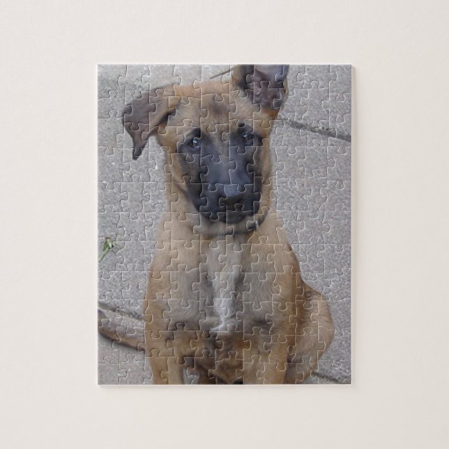 malinois Welpe sitting.png Puzzle (Vertikal)