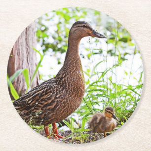 Mallard and Ducklings by Shirley Taylor Runder Pappuntersetzer