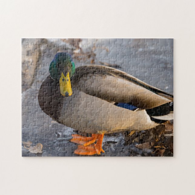 Mallard auf Eis Puzzle (Horizontal)