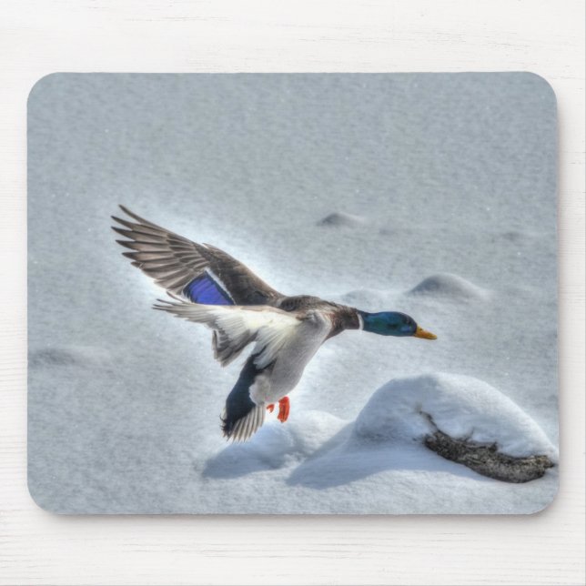 Mallard Drake Birdlover Wildlife Foto Mousepad (Vorne)