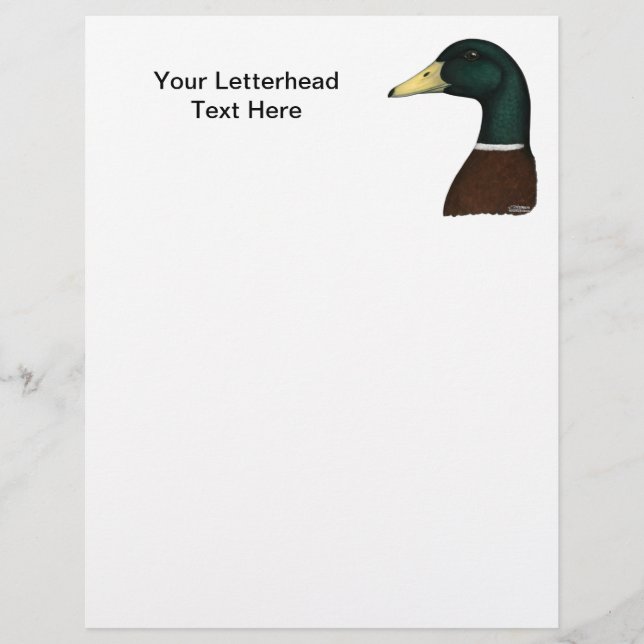 Mallard Drake Head (Vorderseite)