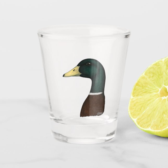 Mallard Drake Head Schnapsglas (Vorderseite)