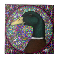 Mallard Drake Mosaic Circle
