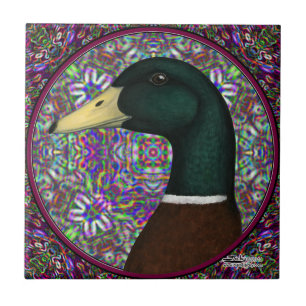 Mallard Drake Mosaic Circle Fliese