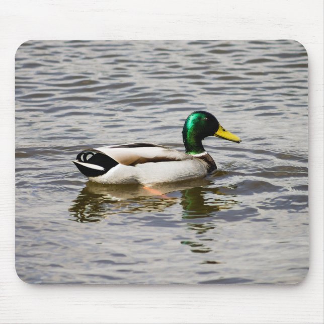 Mallard Drake Mousepad (Vorne)