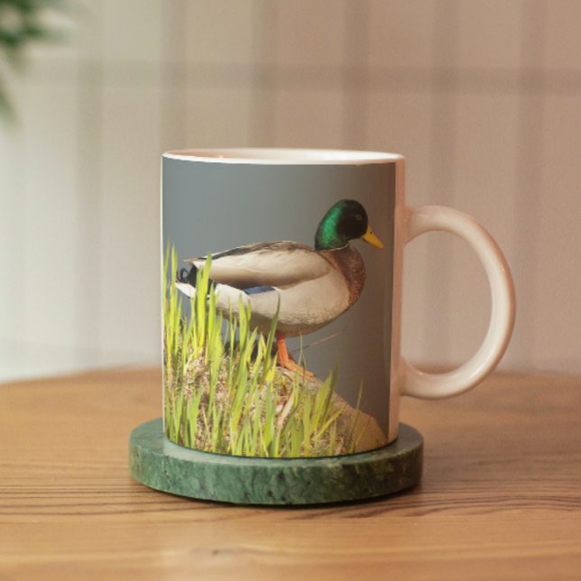 Mallard Drake Nature Foto Tasse (In Situ Coaster)