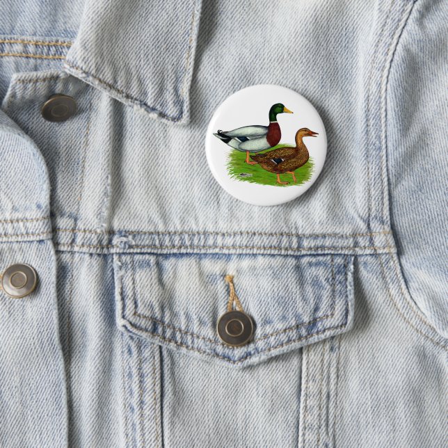 Mallard Drake und Duck Button (Beispiel)