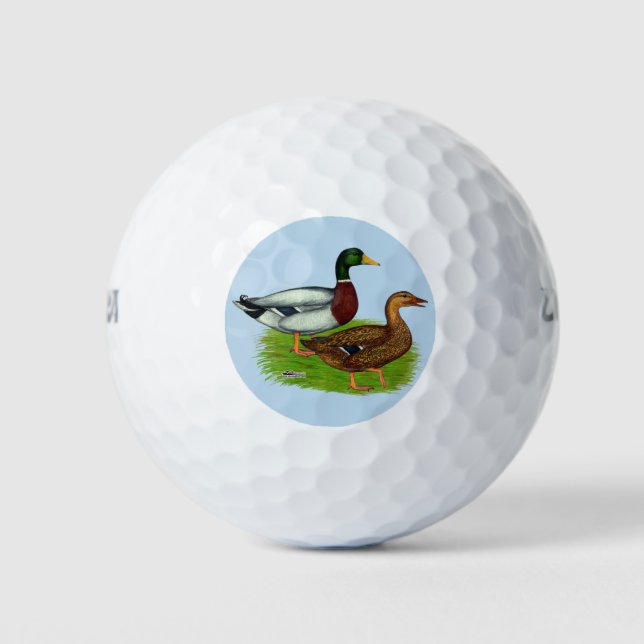 Mallard Drake und Duck Golfball (Vorderseite)
