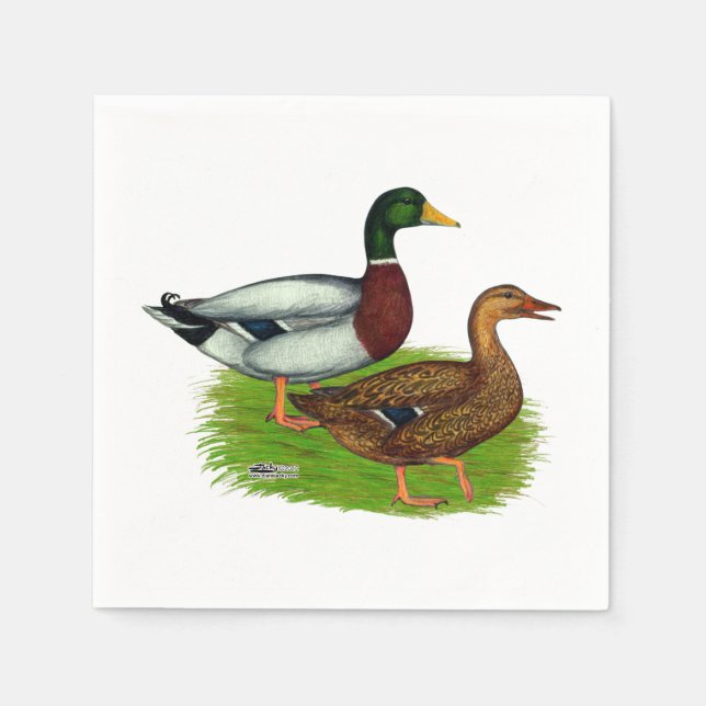 Mallard Drake und Duck Serviette (Vorderseite)