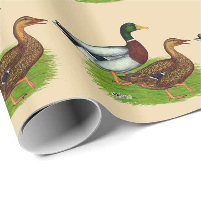Mallard Drake und Ente Geschenkpapier (Rolleneckpunkt)