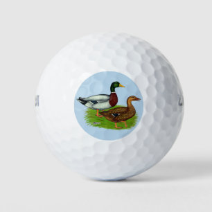 Mallard Drake und Ente Golfball