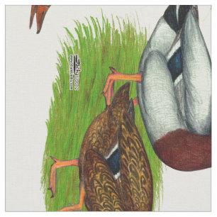 Mallard Drake und Ente Stoff