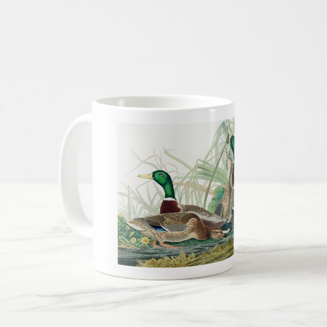 Mallard Duck, 1834, From the Birds of America Kaffeetasse (Vorderseite Links)
