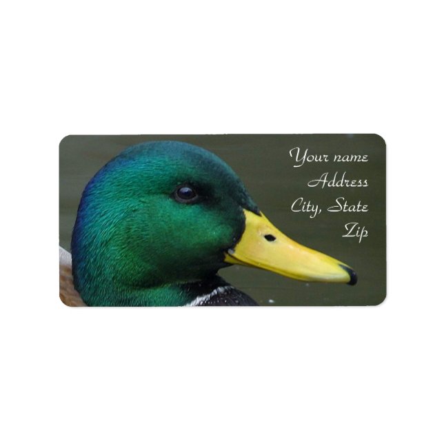 Mallard Duck Adressaufkleber (Vorne)