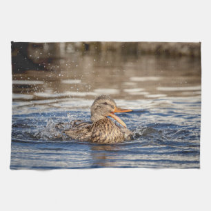 Mallard Duck at Downing Park Geschirrtuch